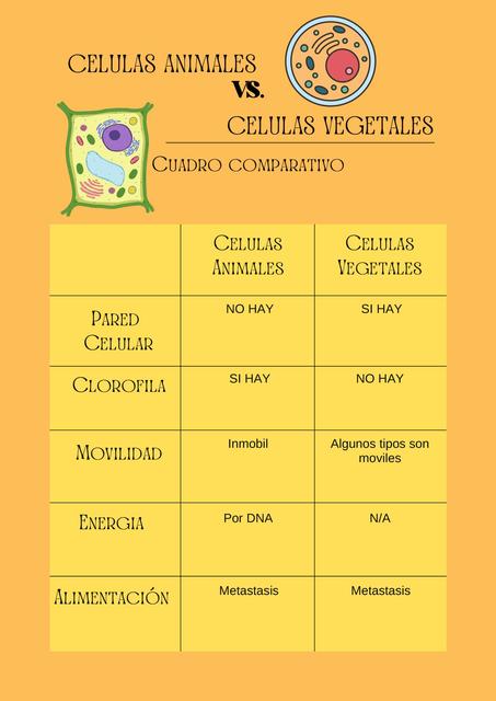 Celula Vegetal vs Celula Animal 