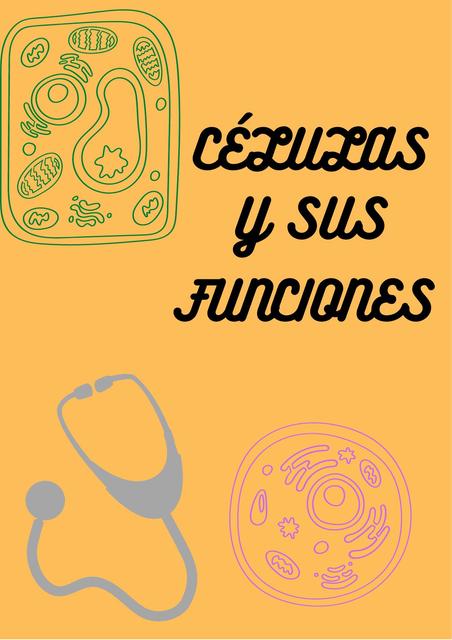 Células y sus Funciones 