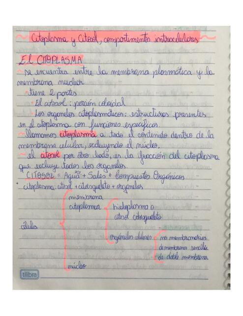 Citoplasma y Citosol