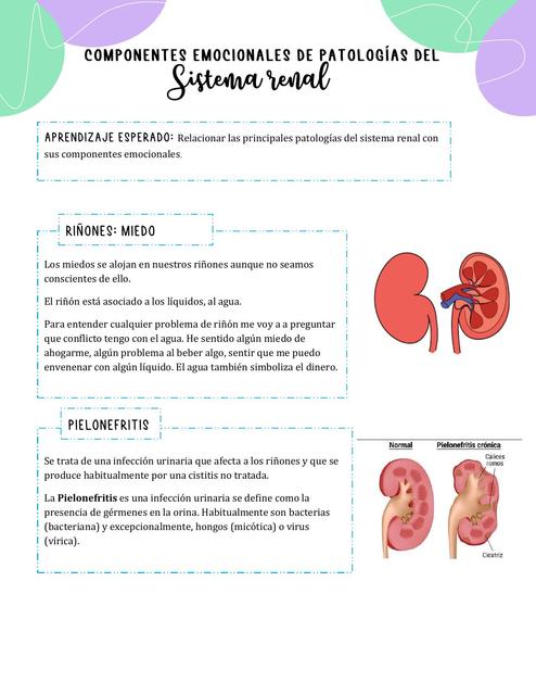 Fisiopatología sistema renal