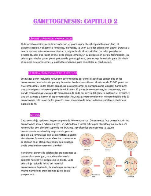 Resumen Gametogénesis - Embriología Humana y Biología del Desarrollo Arteaga MM y García - Peláez I