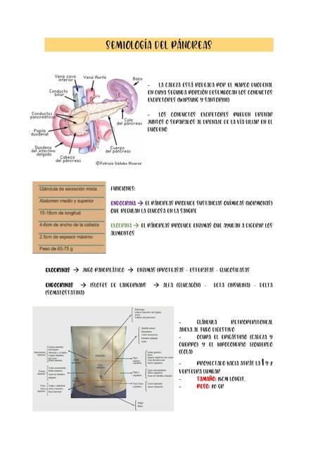 Semiología del Páncreas y Diabetes 