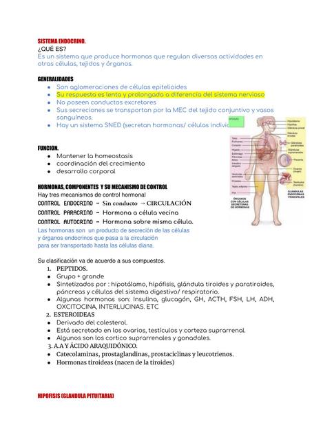 repaso general 4 parcial de histologia