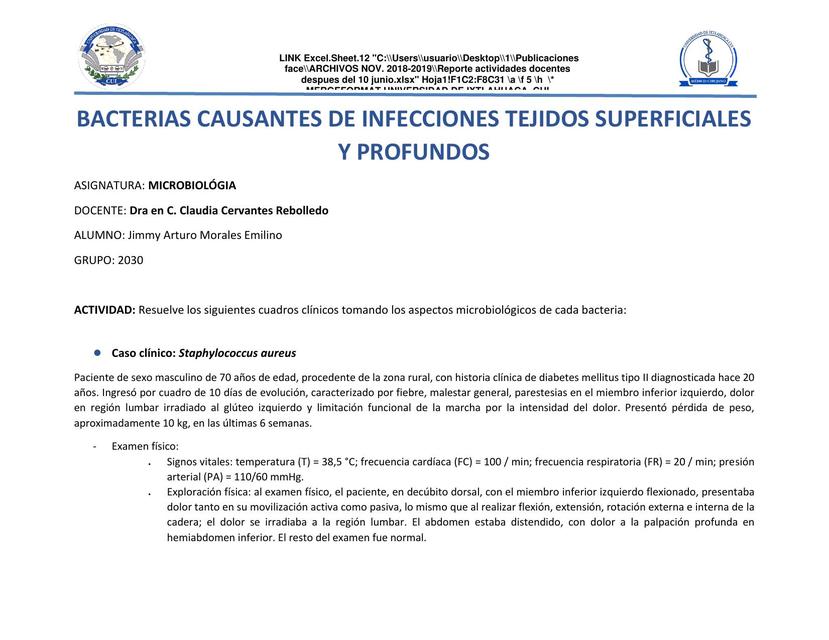 CASOS CLÍNICOS DE BACTERIAS CAUSANTES DE INFECCIONES DE VÍAS SUPERFICIALES