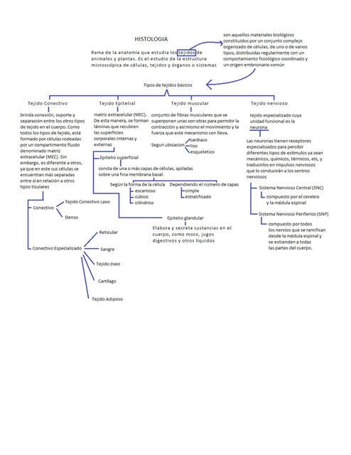 Histologia