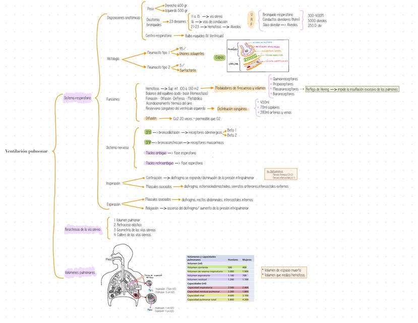 VENTILACIÓN PULMONAR 