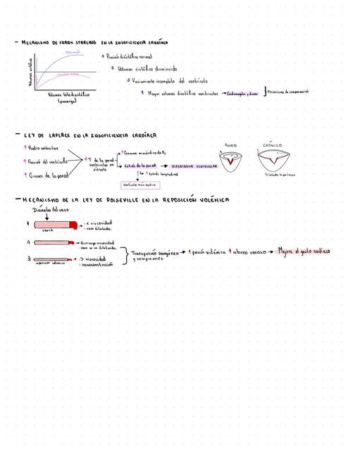 Mecanismos de compensación del cuerpo humano