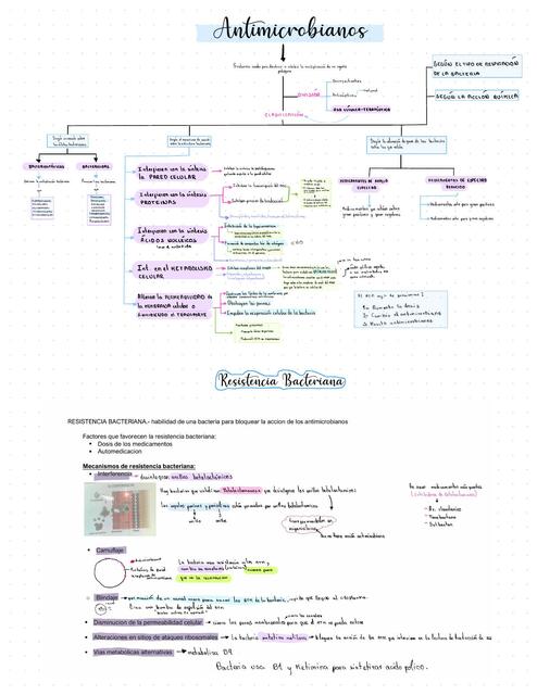 Acción de los antimicrobianos y resistencia bacteriana