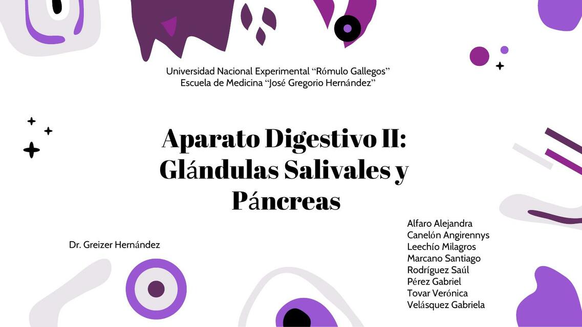 APARATO DIGESTIVO II GLÁNDULAS SALIVALES Y PANCREAS