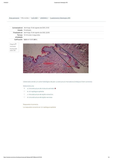 Cuestionario Histología UP2 