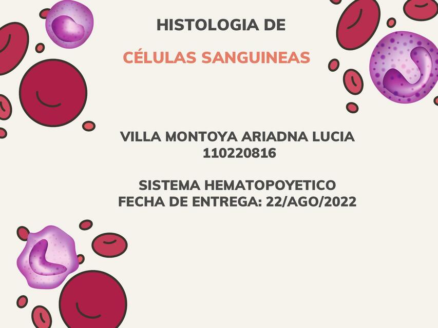 Histología de Células Sanguíneas 