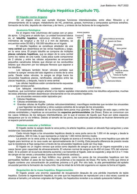 Fisiología Hepática y Pancreática (Insulina y Glucagón)