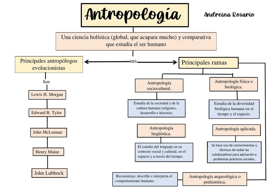 Antropologia Uninta - AP3 - Antropologia I