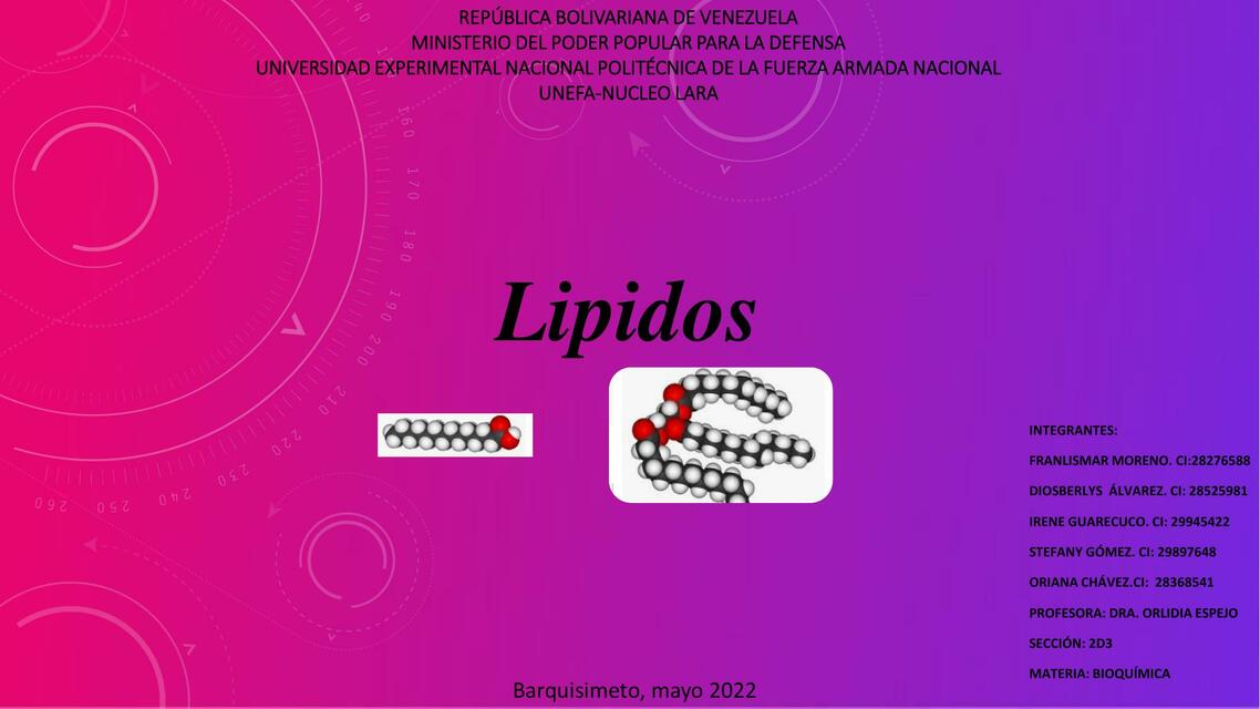 Lípidos 