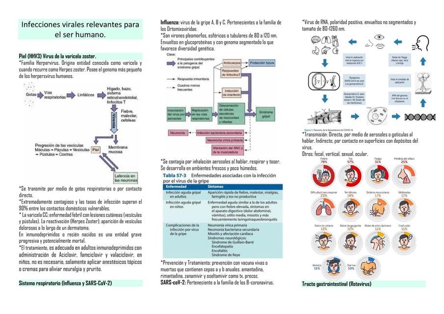 Infecciones virales 