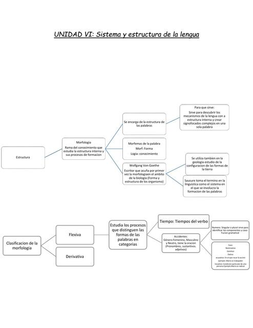 UNIDAD VI Sistema y Estructura de la Lengua