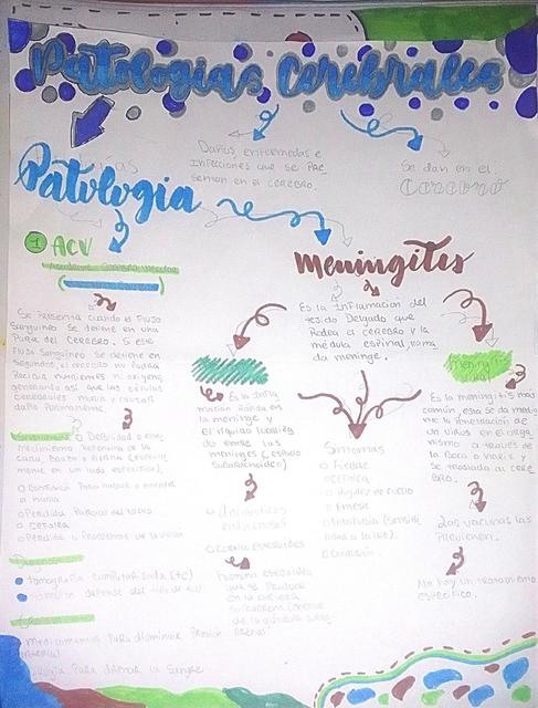 Patologias en la region de la cabeza