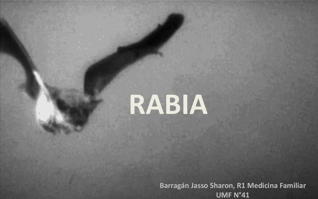 Rabia 