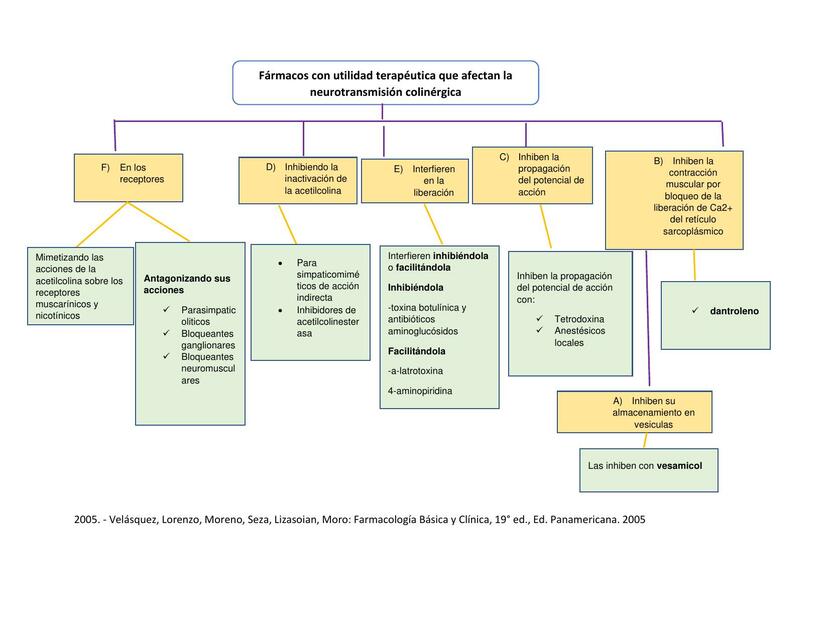 Fármacos con Utilidad Terapéutica que Afectan la Neurotransmisión Colinérgica