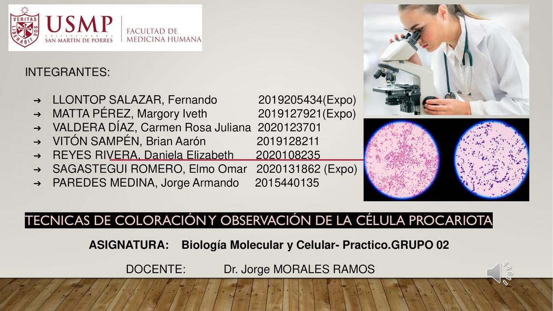 Biología - Práctica - Exposición 3