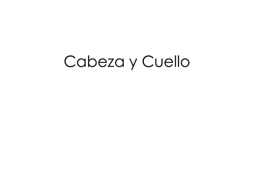 Cabeza y cuello