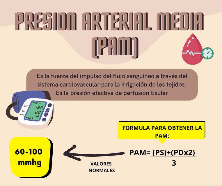 Que Es La Presion Arterial Valores Normales at John Montoya blog