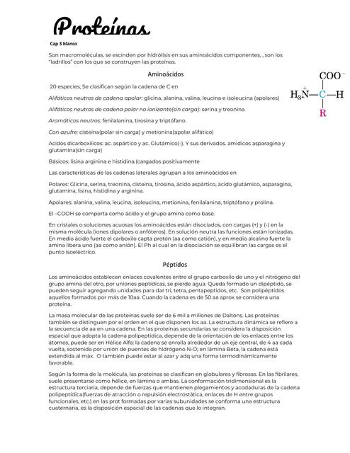 Proteinas y metabolismo de aminoácidos. Blanco Bioquimica Cap 3 y 15