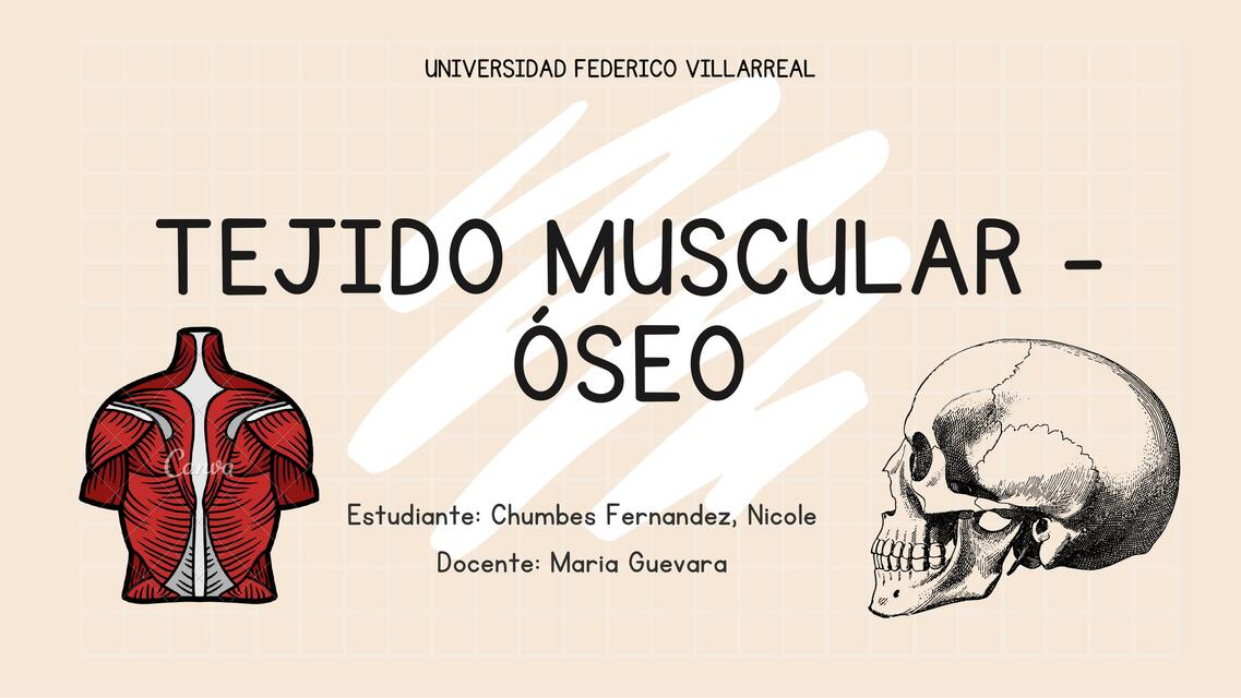 Tejido muscular-oseo