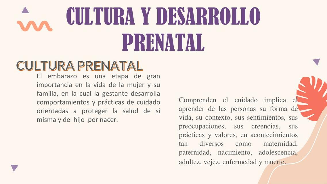 Cultura y desarrollo prenatal