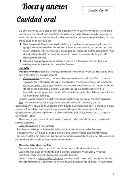 Anatomia Cavidad oral y anexos