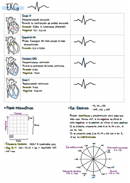 EKG