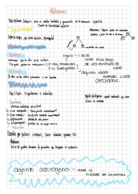 Notas parcial de Biología