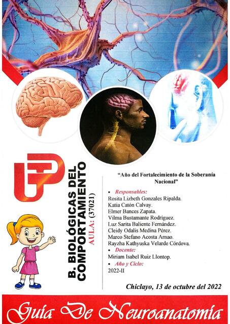 Guía de Neuroanatomía