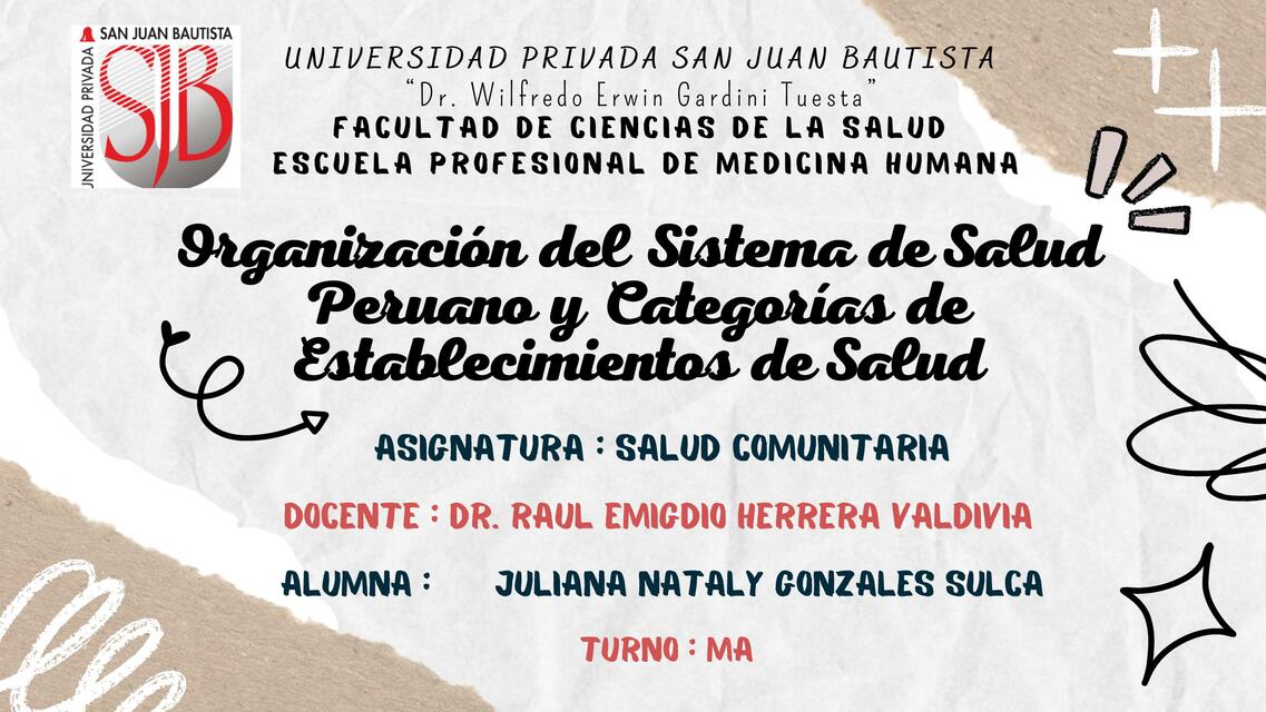 Organización sistema salud