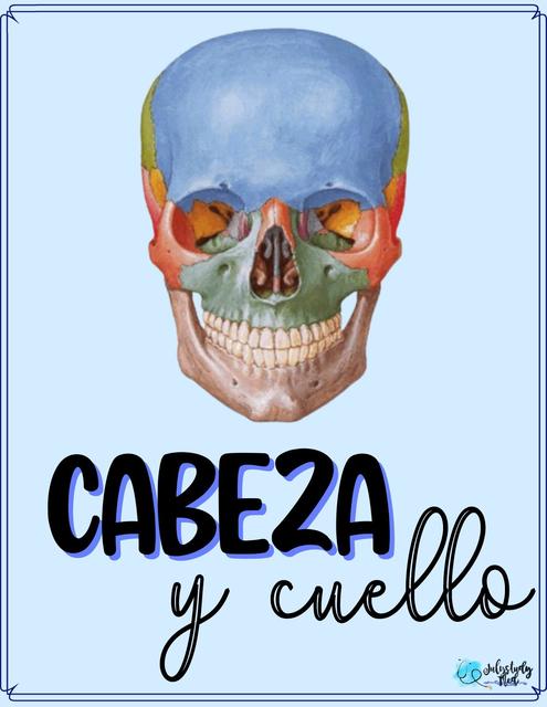 Cabeza y Cuello By julystudy med