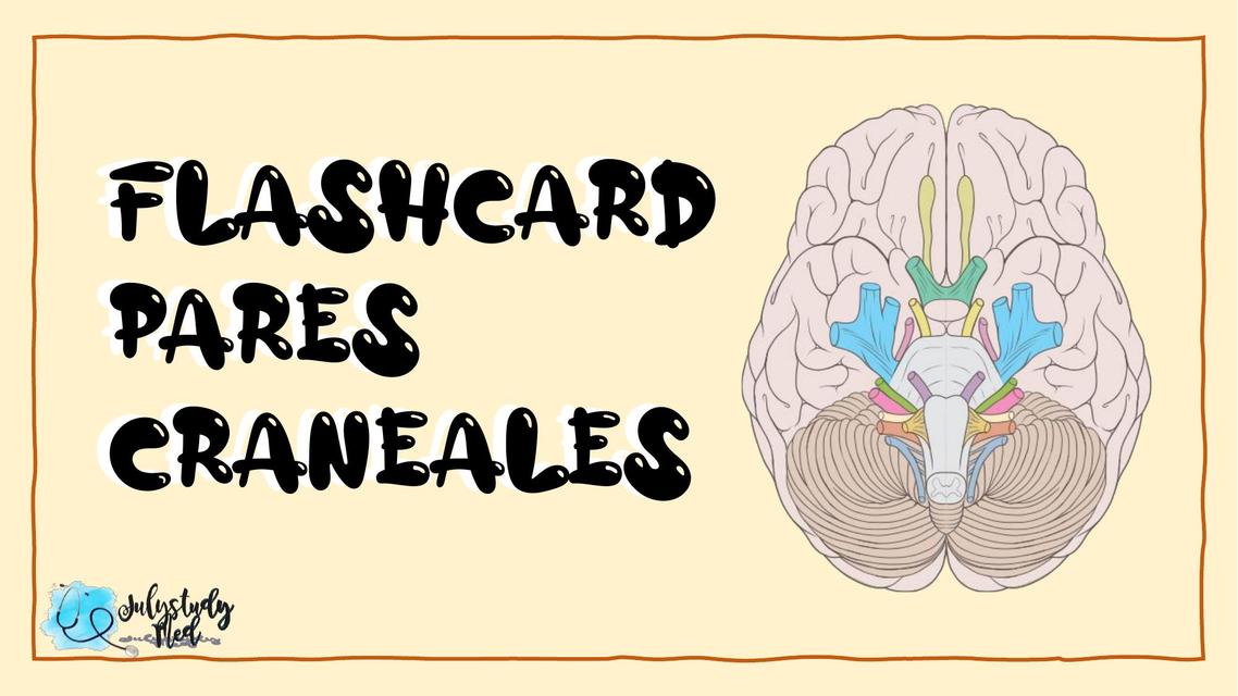 Flashcard Pares Craneales 