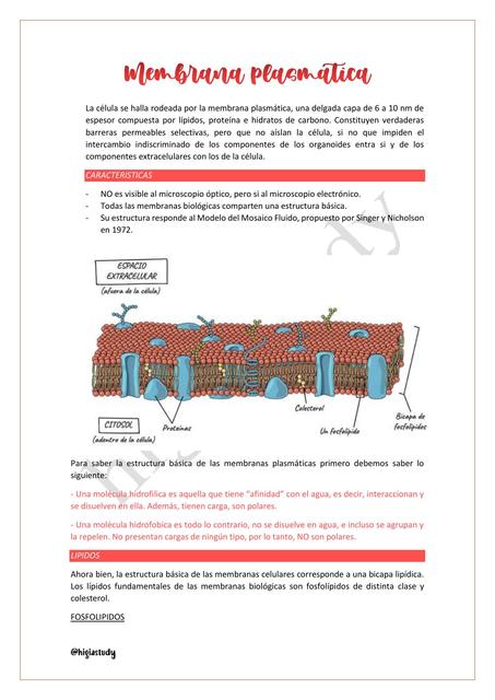 Membrana plasmatica