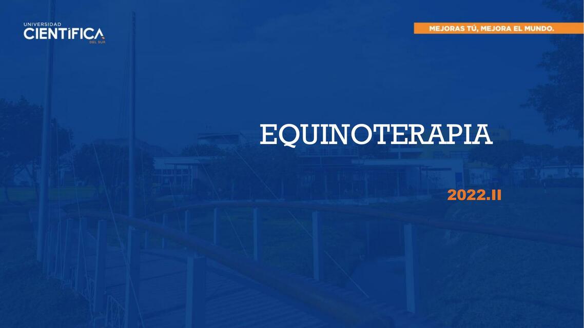 Equiniterapia