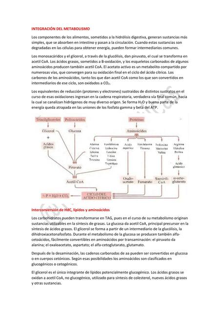 Integración del Metabolismo