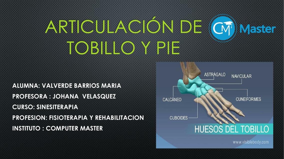 Articulación de Tobillo y Pie 