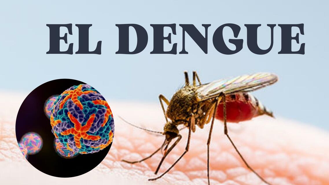 El dengue