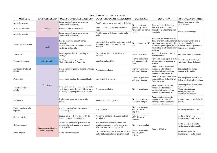 Tabla de Músculos Cabeza y Cuello