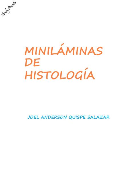 Miniláminas de Histología 