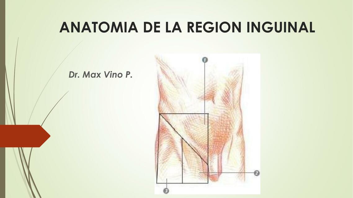 Anatomía de la Región Inguinal 