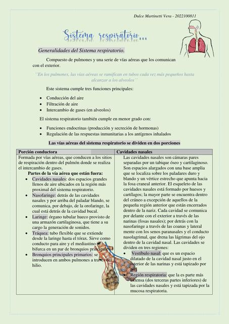 Sistema respiratorio