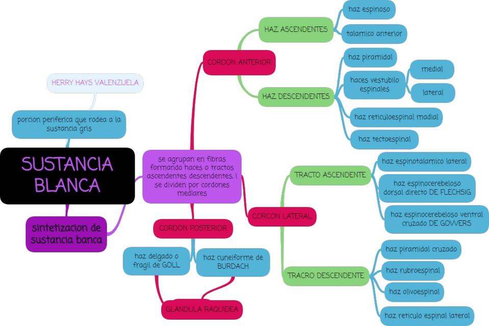 Sustancia Blanca 