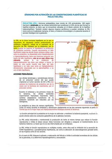 Síndromes de Prolactina