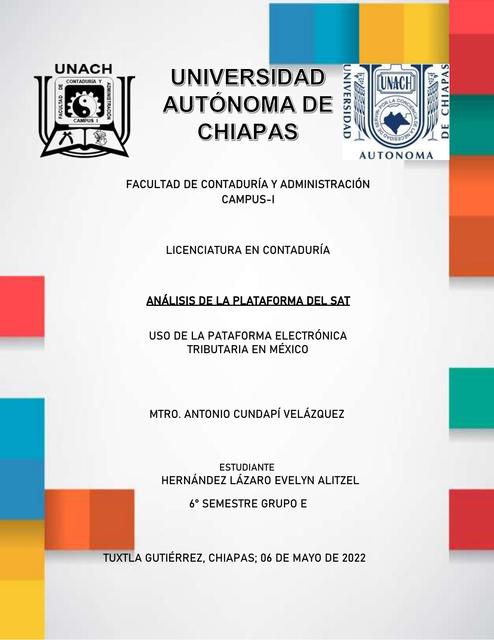 ANÁLISIS DE LA PLATAFORMA DEL SAT