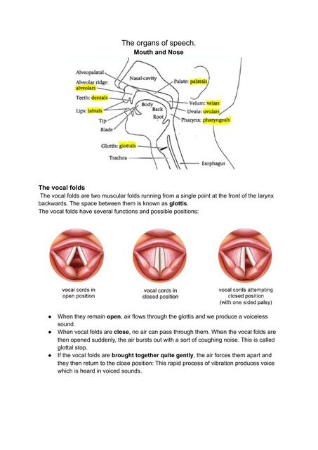 Vowels, Consonants, Place and Manner, Allophones