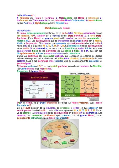 Metabolismo Hemo